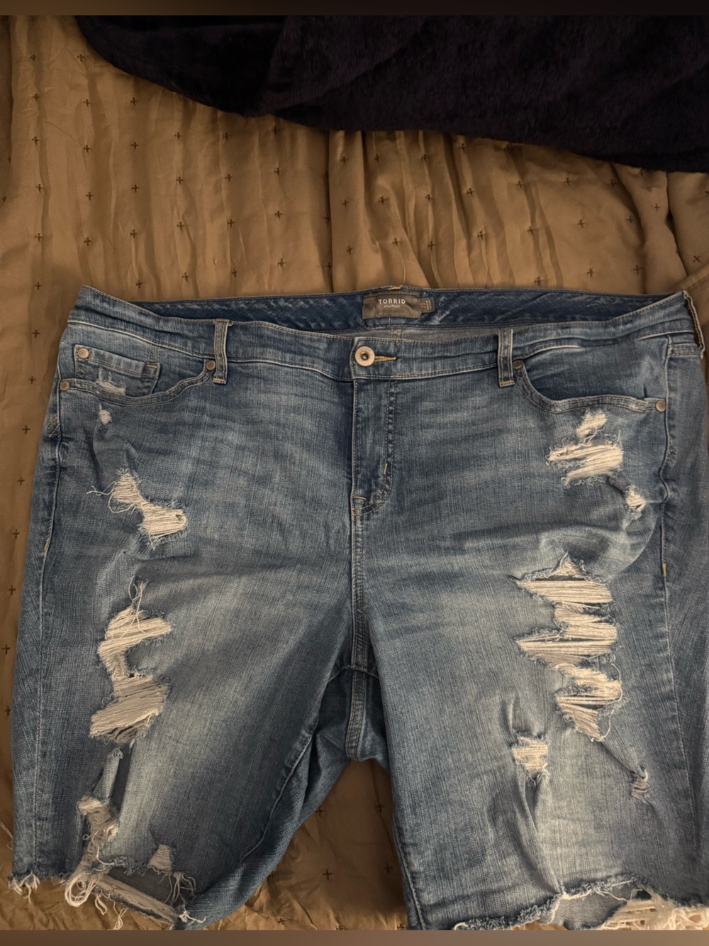 Torrid Bermuda Shorts